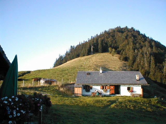 Appartements Ferienwohnungen Alpenblick Faistenau Εξωτερικό φωτογραφία