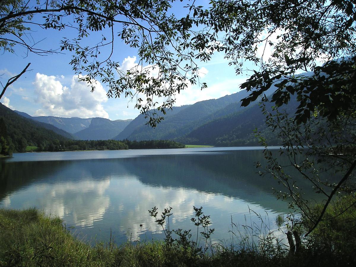 Appartements Ferienwohnungen Alpenblick Faistenau Εξωτερικό φωτογραφία