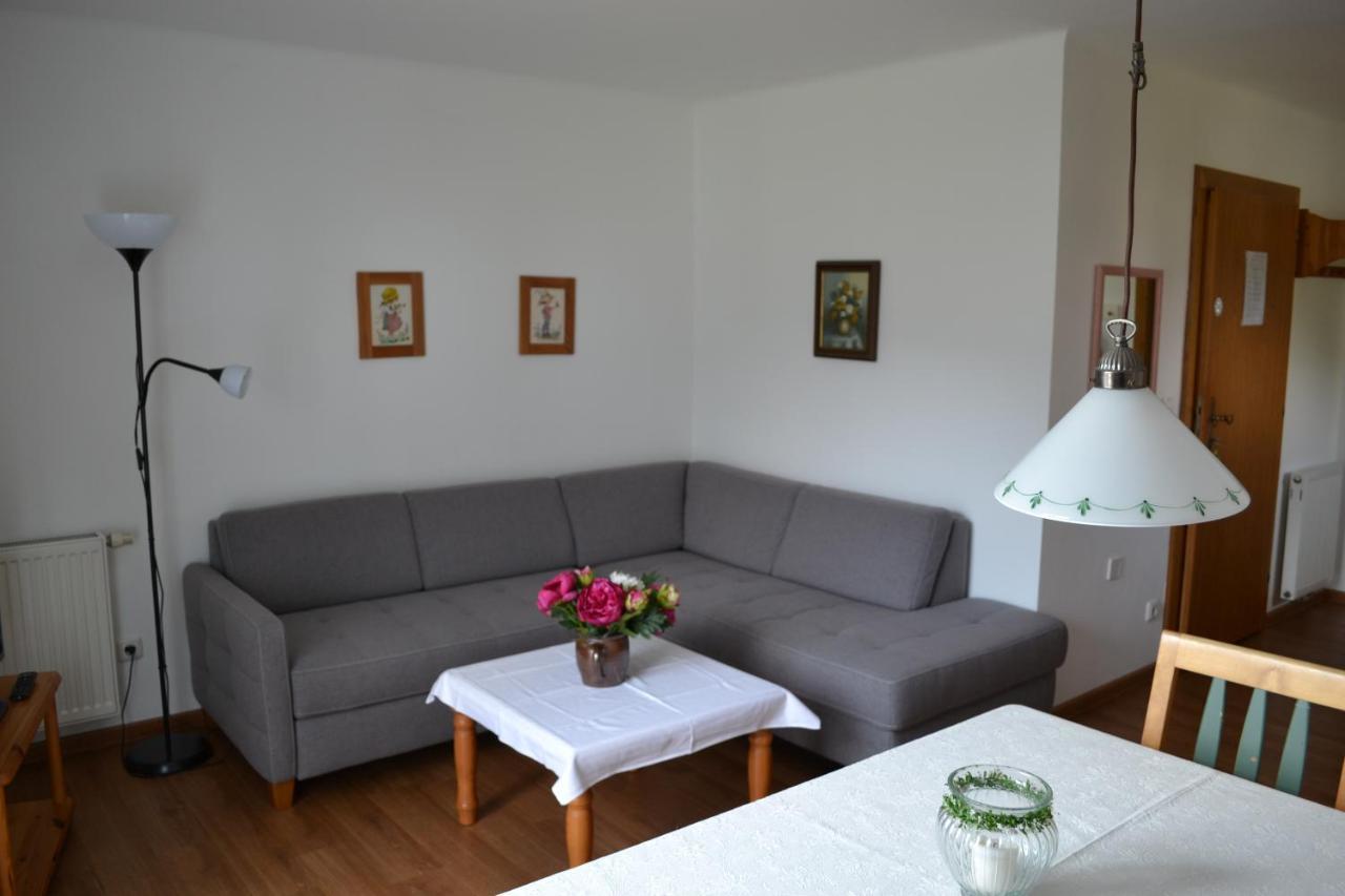 Appartements Ferienwohnungen Alpenblick Faistenau Εξωτερικό φωτογραφία